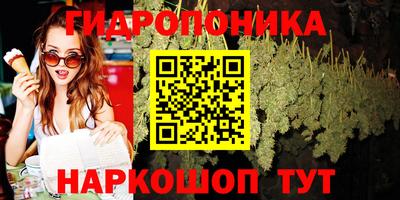 гидра Пенза