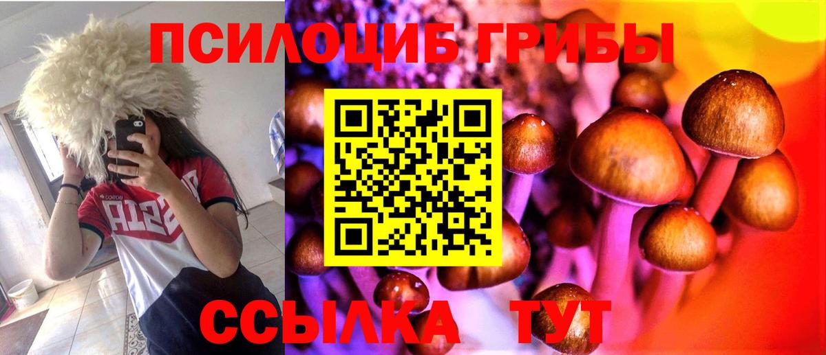 Галлюциногенные грибы мицелий Юрга