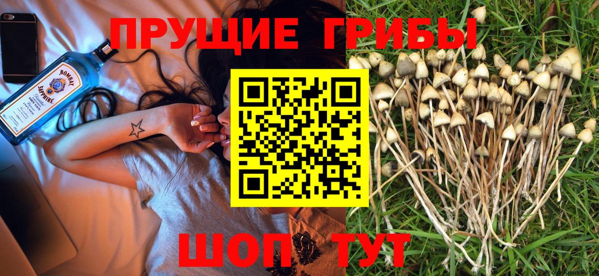 Галлюциногенные грибы Magic Shrooms  Вход с VPN  Юрга 
